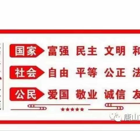 【大庆九•少先队】一面了不起的旗帜——大庆九号小学“二十大”学习活动