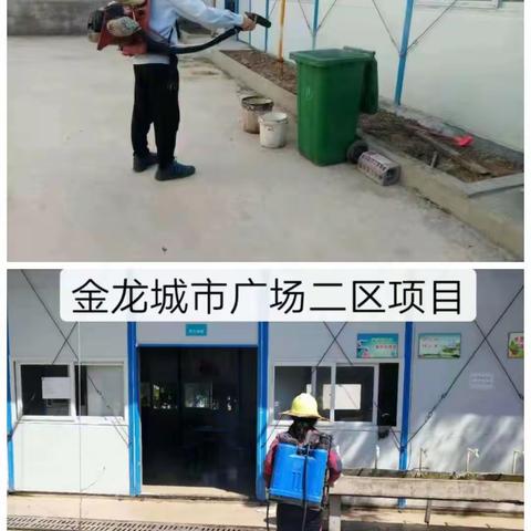 城投公司各在建工地开展登革热防控工作