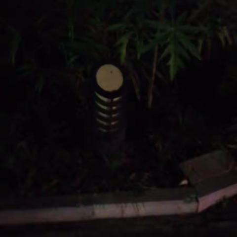 2021年9月2日（上半夜）夜岗巡查问题