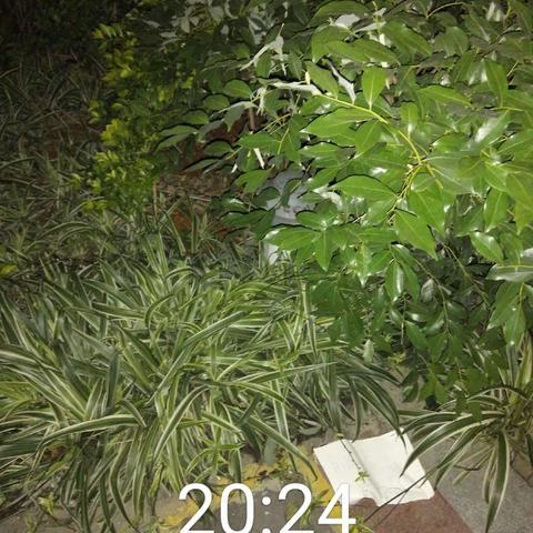 2021年5月9日（上半夜）夜岗巡查问题