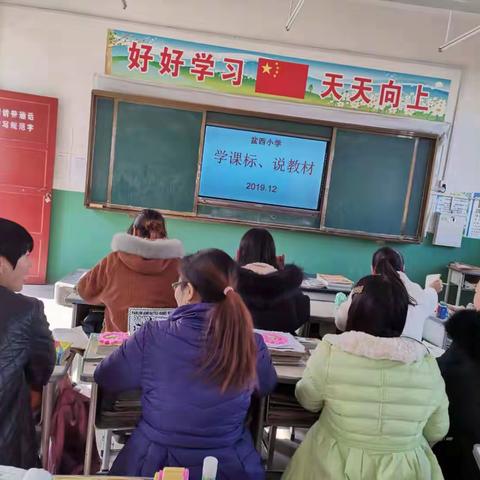 盆西小学学课标 说教材活动