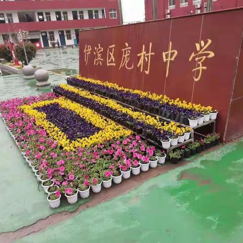 魏光辉新学期工作计划