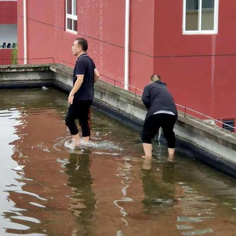 出发了，就别回头