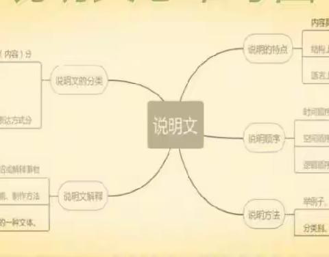“努力说明白”——走进五彩的思维世界