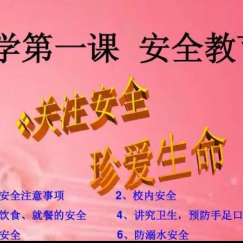 中心幼儿园三一班开学安全第一课安全教育