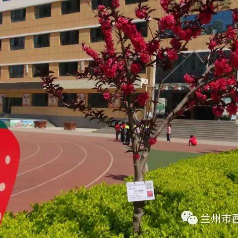 冬日斜阳展风采，合小唯我少年郎——记一年级冬课程展示