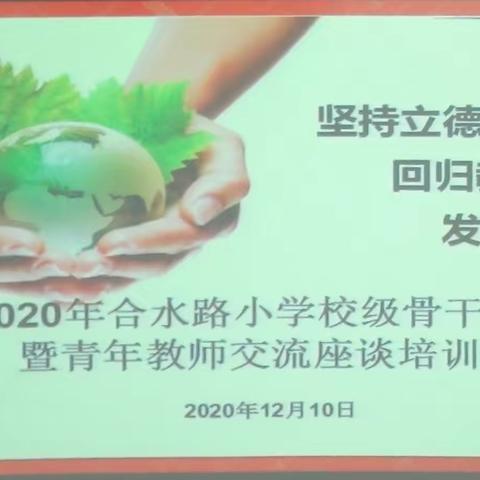 引领指导明方向 点拨鼓励促提升 ——合水路小学校级骨干暨青年教师交流座谈培训会