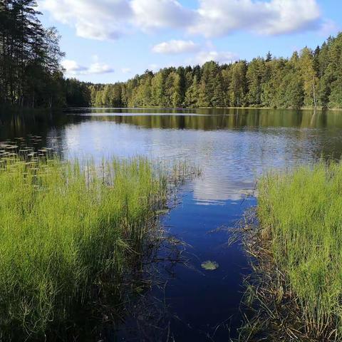 北欧之旅_一次愉快的行程
