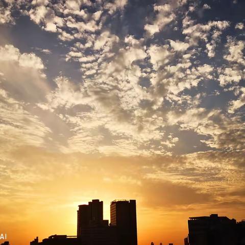 秋云2022＿手机随拍