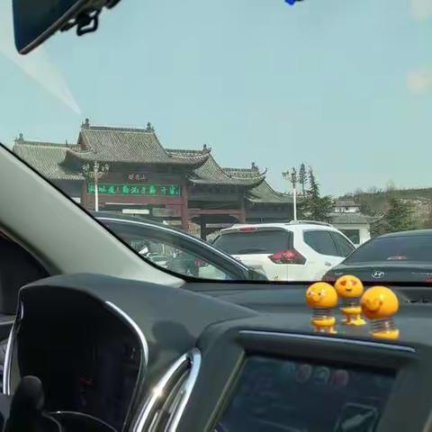 畅游樱花山的一天