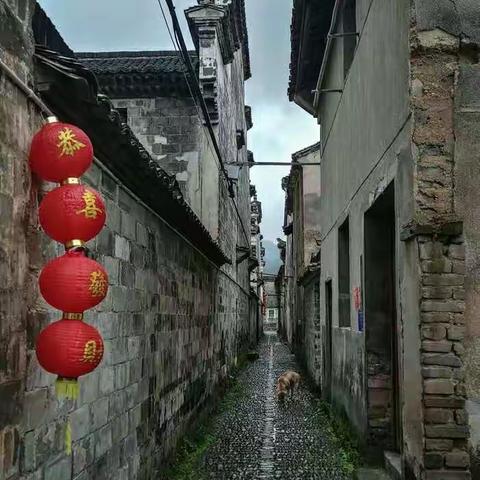 古村落——新光村