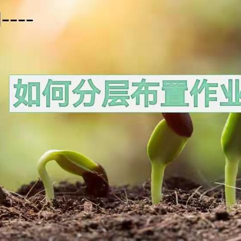 神仙湾路小学开展如何分层布置作业校本培训