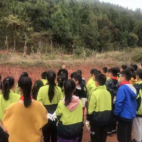 德阳市青云山路小学“弘扬劳动精神，体验农耕乡情”研学旅行走进旌阳区和新镇乡村振兴示范点