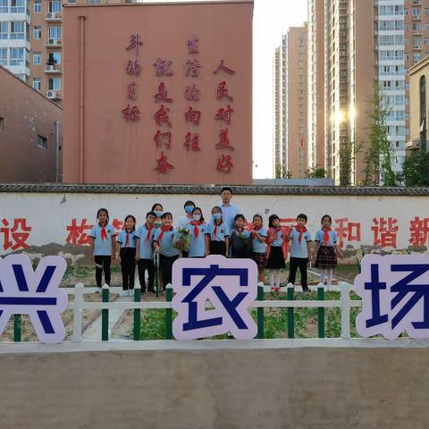 【兴·农场】劳动砺心智，实践促成长——惠济区长兴路实验小学综合劳动实践教育活动纪实