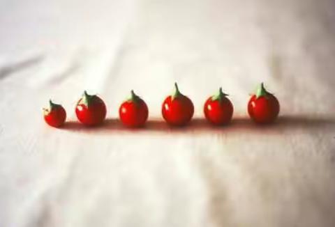 小水果大智慧——这帮娃娃不简单！