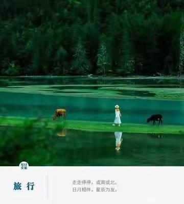 一场旅行真的能看清一个人