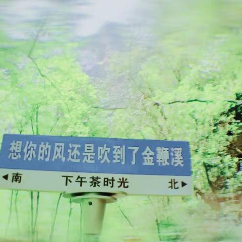 张家界——国家森林公园