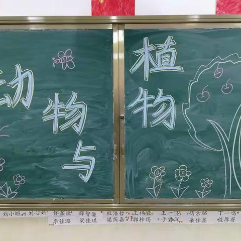 小豆豆的大学校——动物与植物主题成果展