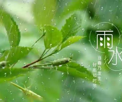 雨水：春雨暖，等花开