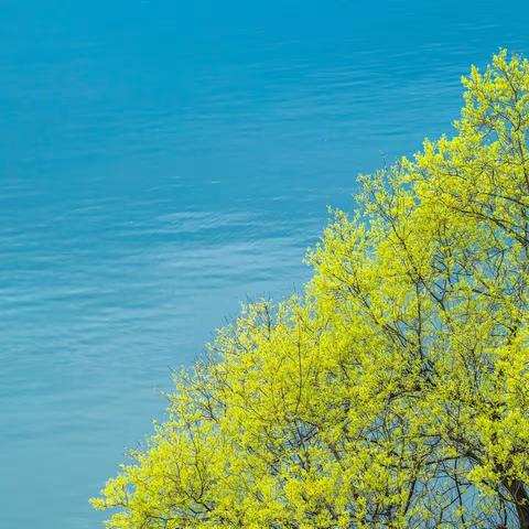 “万物迎新 春天你好”主题诗歌创作活动