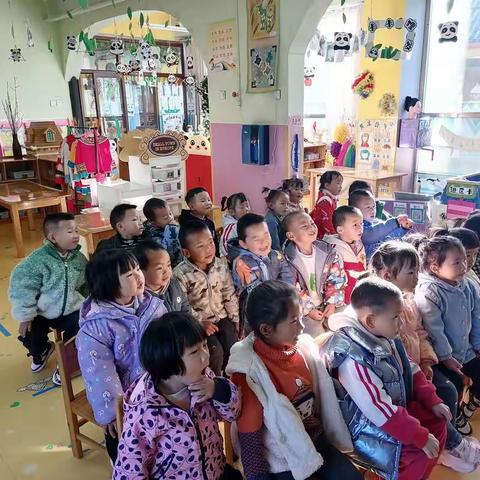 天雨流芳幼儿园中一班第十五周精彩回顾