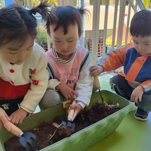 天雨流芳幼儿园中一班第六周精彩回顾