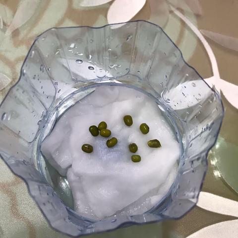 《绿豆芽的成长记》饶维熙