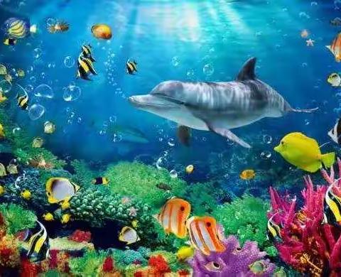 探索海洋动物奥秘   了解丝绸之路传奇  研学回忆录