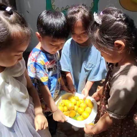 ☀️仲夏至此时，未来皆可期🌻