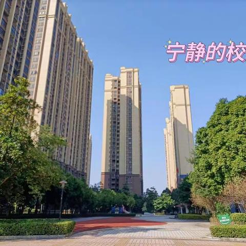 石湾中心幼儿园——中五班居家亲子教学活动🌼