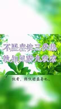 今日中伏！最热最易生病的20天来了，不懂这些规矩要吃亏！