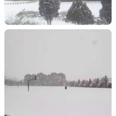 且候霜雪化，共与暖阳归            ——壶天中学应对低温雨雪冰冻天气致学生家长的一封信