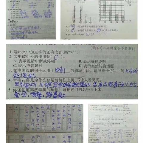 停课不停学，南留固小学三年级在行动