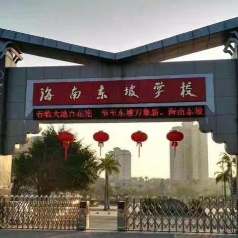 海南东坡学校初一4班“停课不停学”活动缩影