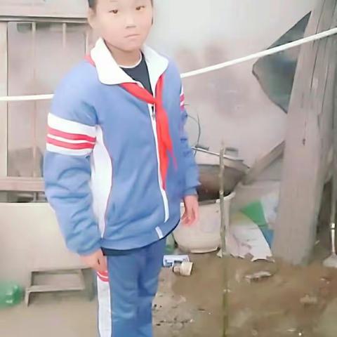 西郝学校“我与小树共成长”活动纪实