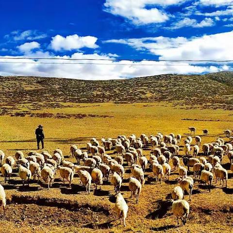 老汉营大西北梦幻之旅 返乡之路 （5）平安返湘