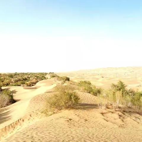 老汉营大西北梦幻之旅 二十三站新疆巴音郭楞蒙古族自治州且末县塔中镇