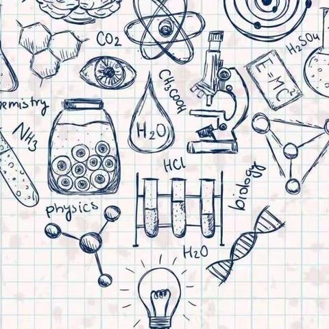 高一化学备课组活动