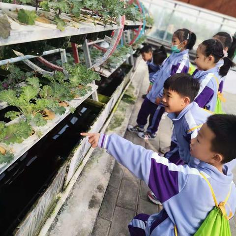 秋天我们相约在研学课程之劳作篇——北京路小学一（5）班的小萌新出发啦