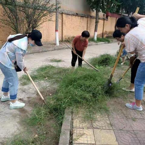 狄邱乡入党积极分子持续助力创城工作