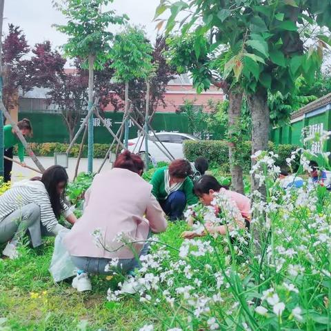 劳动基地的“小蜜蜂”