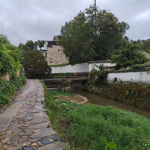 秋雨绵绵游查济