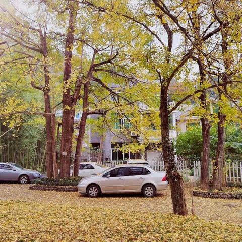 寻秋，浙江富阳湘溪村