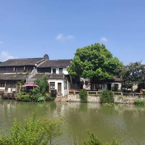 去震泽古镇休闲一天