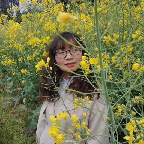 那年，梧桐树下