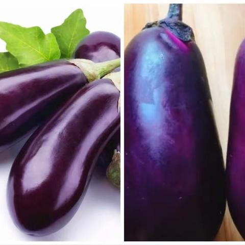 【班本课程】《爱劳动，趣味采摘》——记蔡园新镇区幼儿园大二班种植园茄子🍆采摘及制作