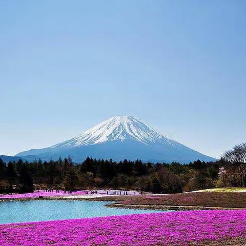 六队高川林异域之旅