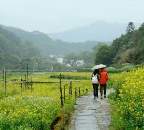 春雨中的感念