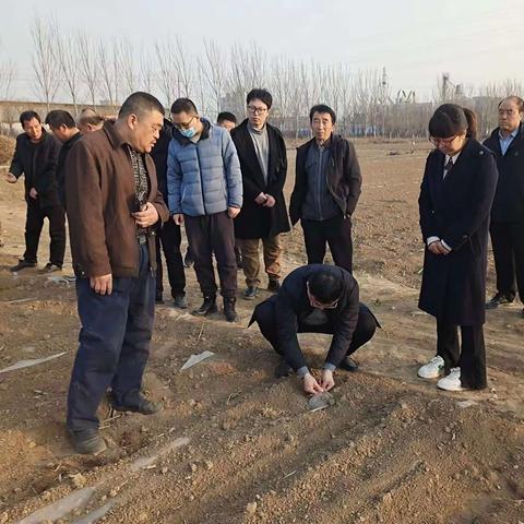 长子县组织参观学习冬谷子种植技术