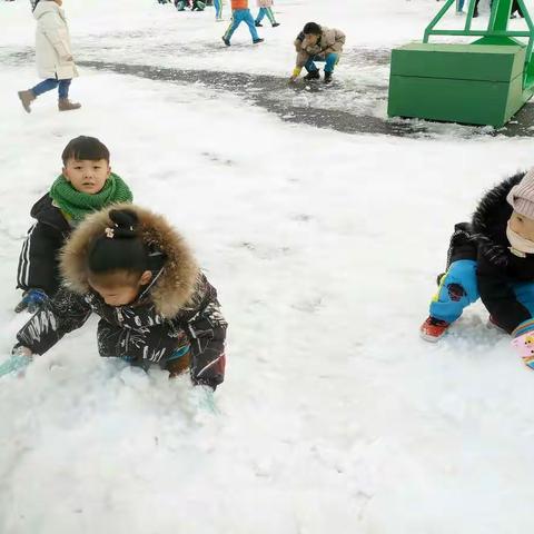 雪地里的小精灵